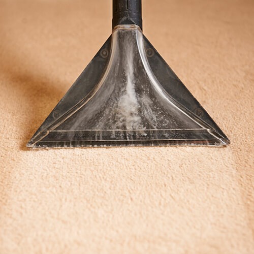 Carpet cleaning | Everlast Floors