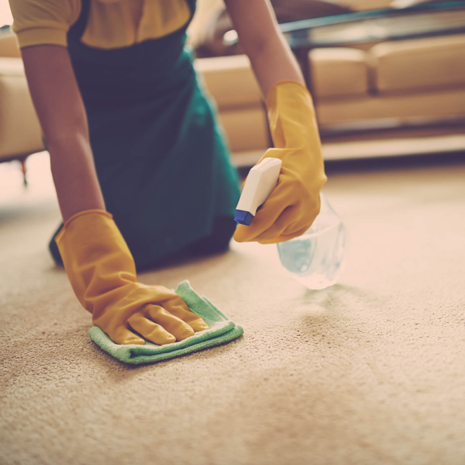 Carpet cleaning | Everlast Floors