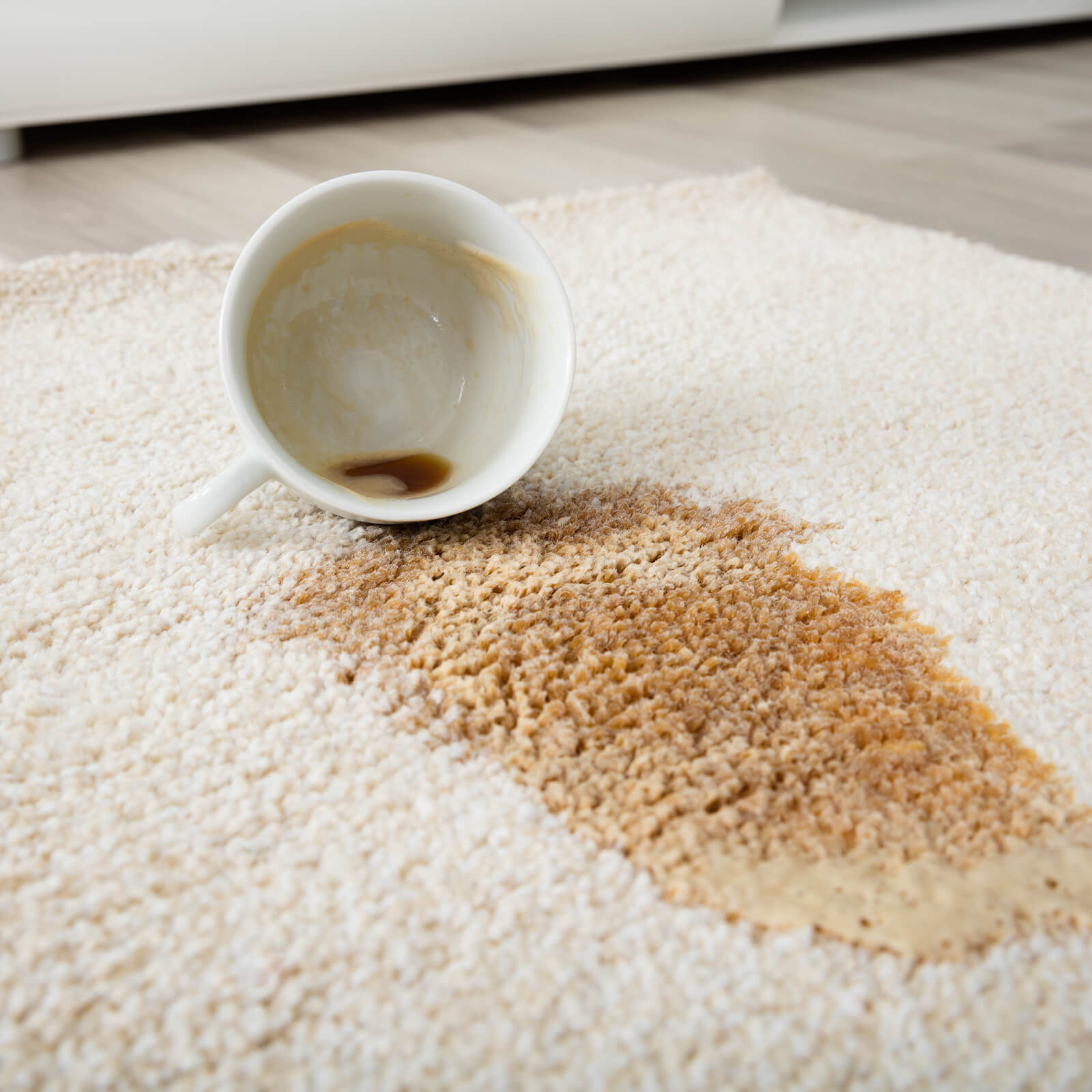 Coffee spill on area rug | Everlast Floors