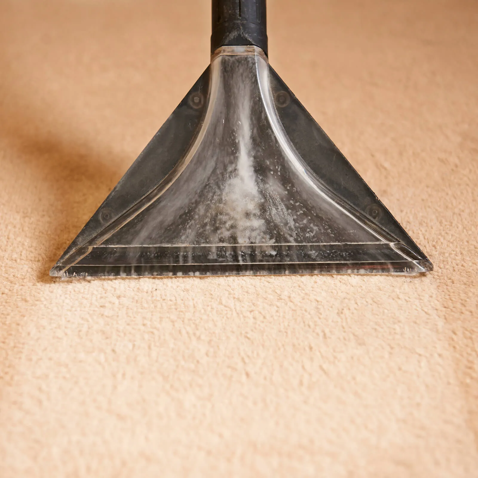 carpet_cleaning2_img carpet_cleaning2_img